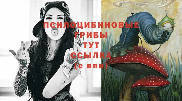 Альфа ПВП Вязники
